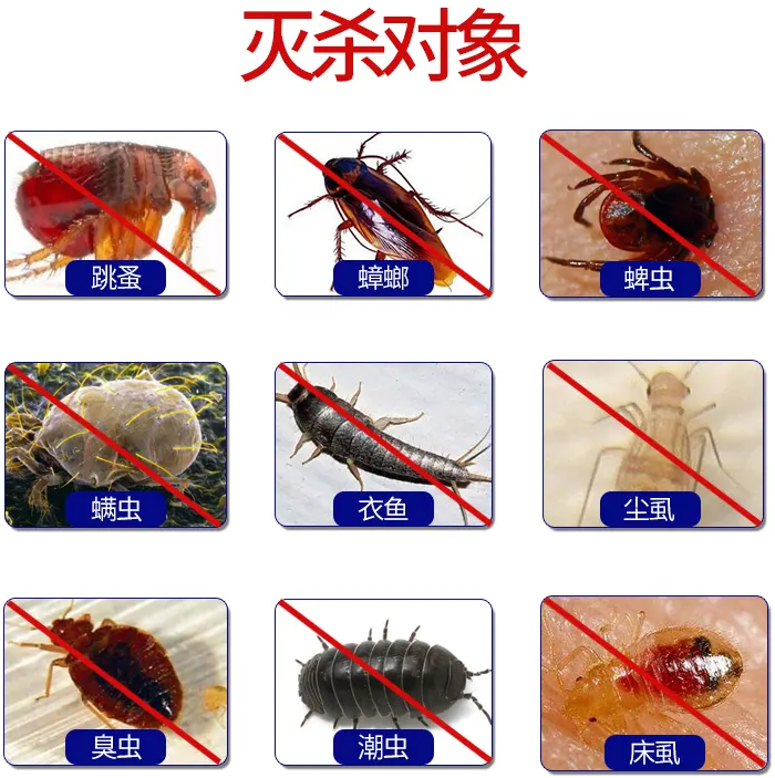 跳蚤、蟑螂、蜱蟲、虱子、臭蟲殺滅率檢測